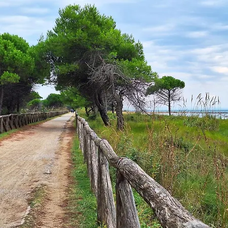 Διαμέρισμα Bright Flat Next To Pineda - Beahost